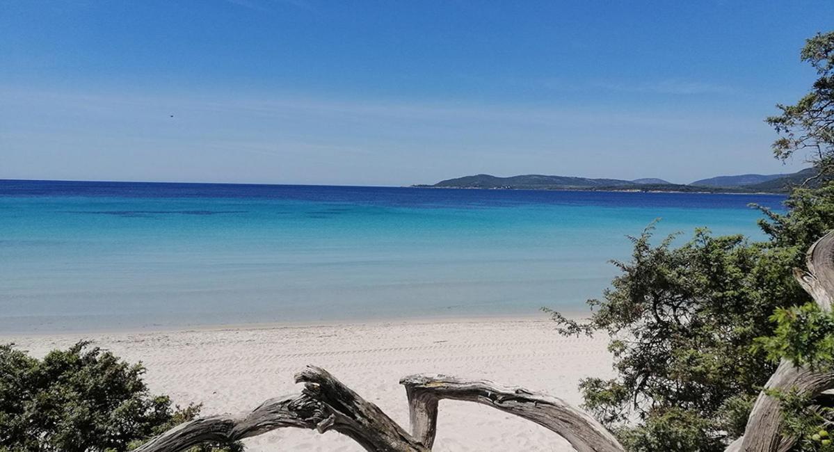 Lu Bobo Villa Alghero Eksteriør bilde